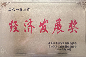 2015年度經濟發(fā)展獎